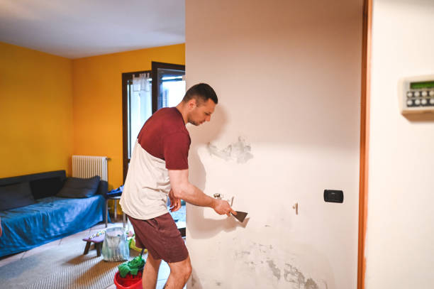 Office Mold Removal Services in Tyrone, PA